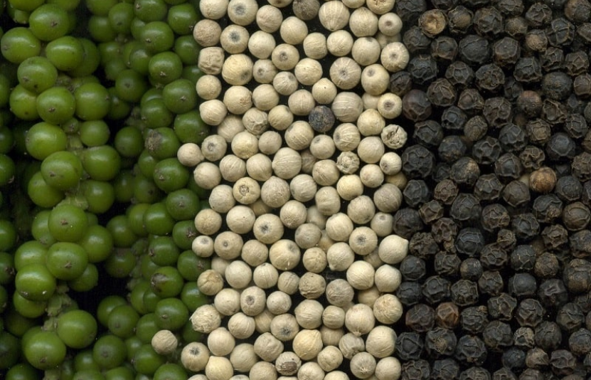 gi&aacute; ti&ecirc;u 5/12/2025